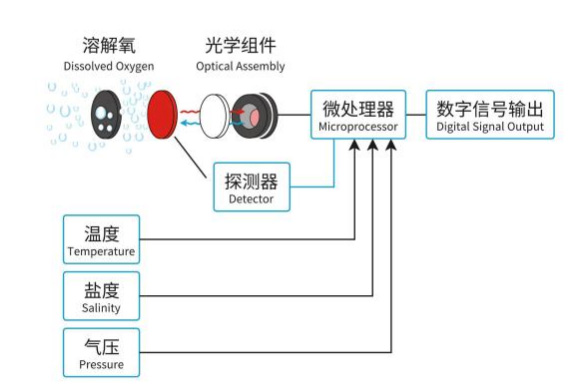 在線溶氧傳感器工作原理